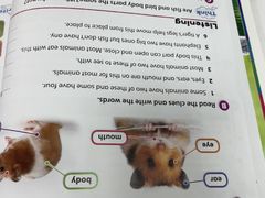 -I-Shine英语国际教育(御桥张江中心)
