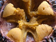 海胆-福匠日本料理(人民路店)