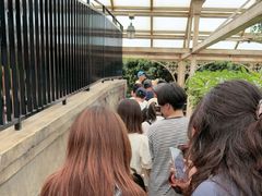 -哈利波特魔法世界