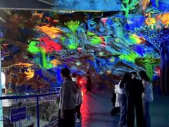 -泉城欧乐堡海洋极地世界