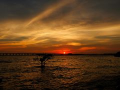 -宝安西湾红树林湿地公园