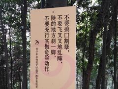 -壹华里·市集