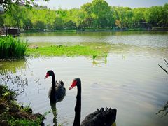 -浙江农林大学(东湖校区)