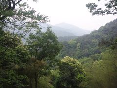 DSC03126-杭州林泉山庄