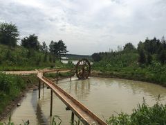 -北纬44度·金珠花海休闲农业旅游景区