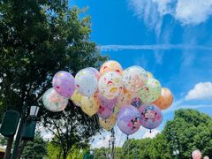 -上海迪士尼度假区