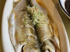 清蒸白丝鱼-城北食府(枫林店)