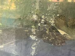 -兴隆槟榔园休闲农庄