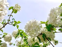 -大龙山(地铁站)