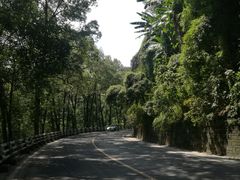 -南山植物园