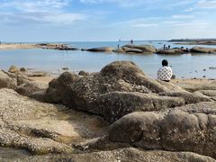 -日照灯塔风景区