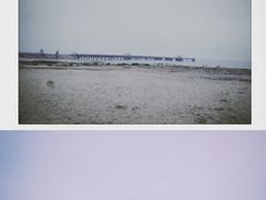 -梧桐湾烧烤场(汕尾城区宝藏店)