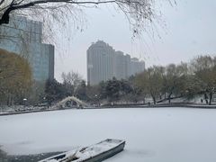 -团结湖公园