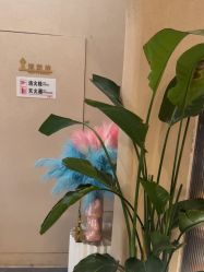 -Hi Beauty Skin 科技美肤中心