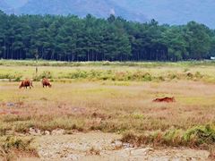 -Club Med地中海俱乐部·桂林度假村