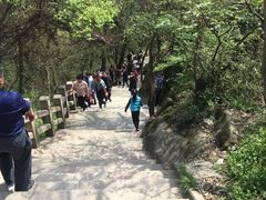 -灵岩山风景区