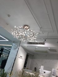 -潘多拉Hairsalon