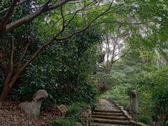 -上海佘山国家森林公园西佘山园