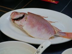 红目良鱼-吴记富苑(朝阳店)