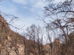 -大岭沟猕猴桃谷风景区