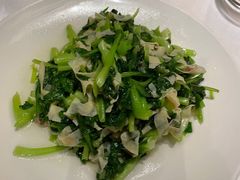 鸡毛菜百叶丝-老吉士酒家(天平路店)