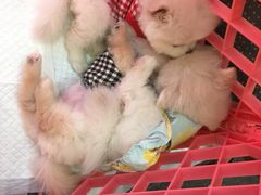 -远洋未来广场(育慧北路店)