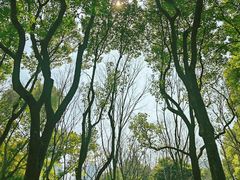 -徐家汇源景区-衡山公园