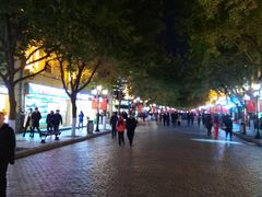 -布拉戈维申斯克