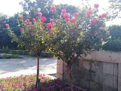 -荆川公园