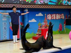 -成都浩海立方海洋公园