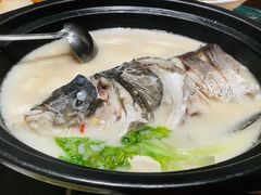 -7017浙菜•建德味(中财店)