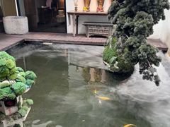 -觀芷隐轩