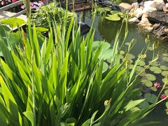 -长春公园(普阳街道)