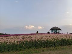 -径山花海