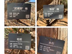 -国家植物园