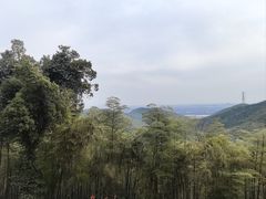 -东明山森林公园