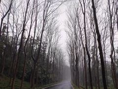 -宜兴龙背山森林公园