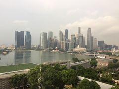 -新加坡丽思卡尔顿美年酒店
