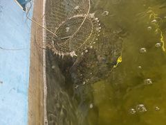 -光头佬钓虾场·烧烤·聚餐·亲子(金沙洲店)