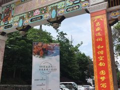 -广州市流溪河国家森林公园