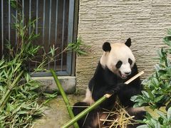 -黔灵山公园