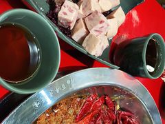 -谭鸭血老火锅(七宝万科广场店)