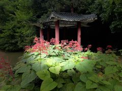-马峦山郊野公园