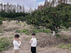 -上海长兴岛郊野公园