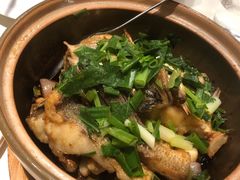 砂锅生啫海鲈鱼-觅唐MITONG(鸟巢店)