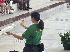 -新加坡飞禽公园