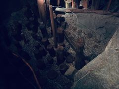 -元代水闸遗址博物馆