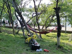 -长白岛森林公园