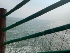 -广东惠东海龟国家级自然保护区