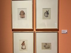 -江苏省美术馆(长江路新馆)